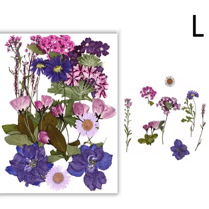 Natural Dried Flower Resin Fillings Real Pressed Flowers For Nail Art DIY Crafts 5