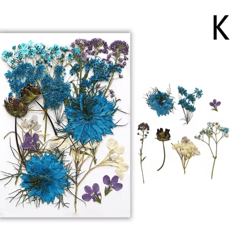 Natural Dried Flower Resin Fillings Real Pressed Flowers For Nail Art DIY Crafts 6