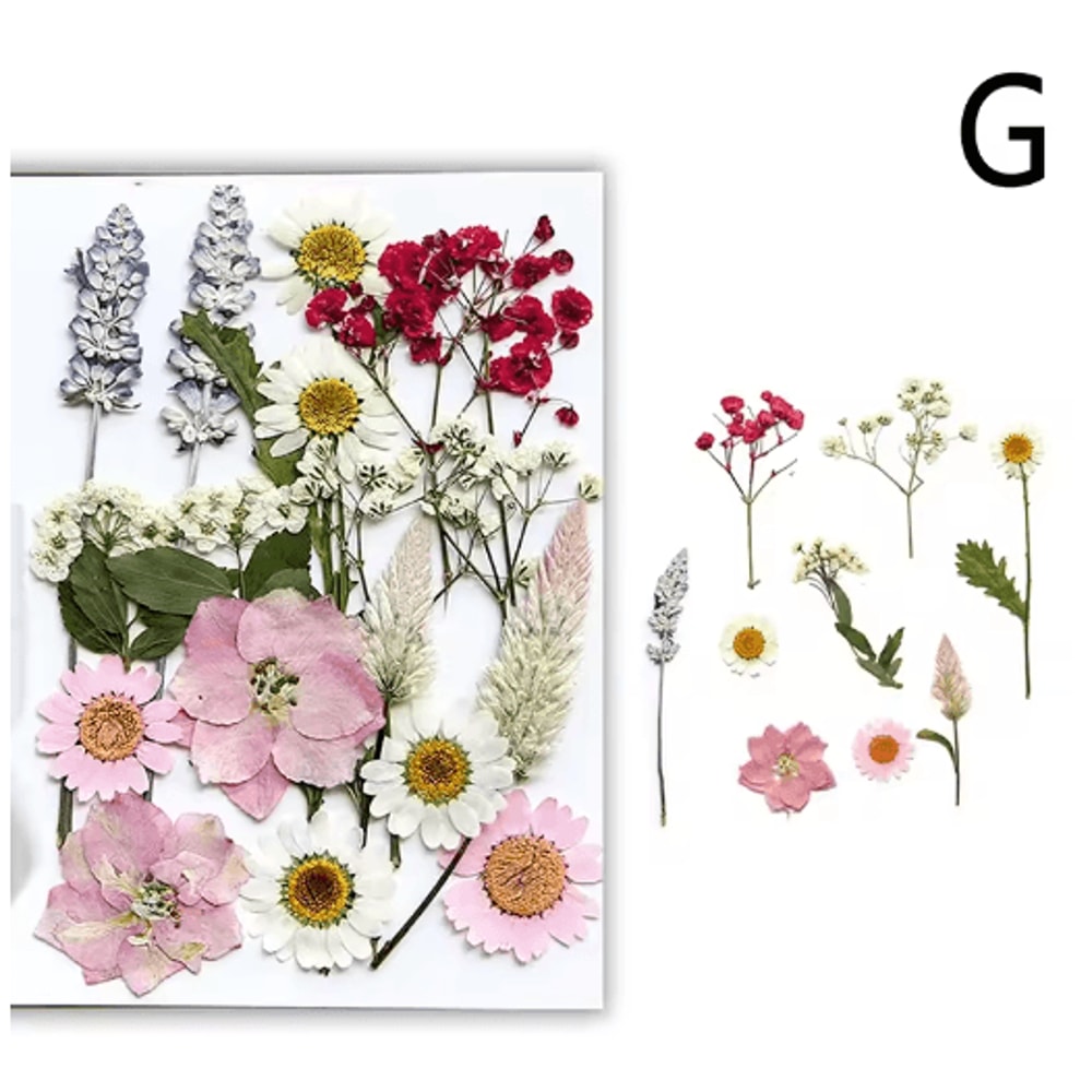 Natural Dried Flower Resin Fillings Real Pressed Flowers For Nail Art DIY Crafts 10