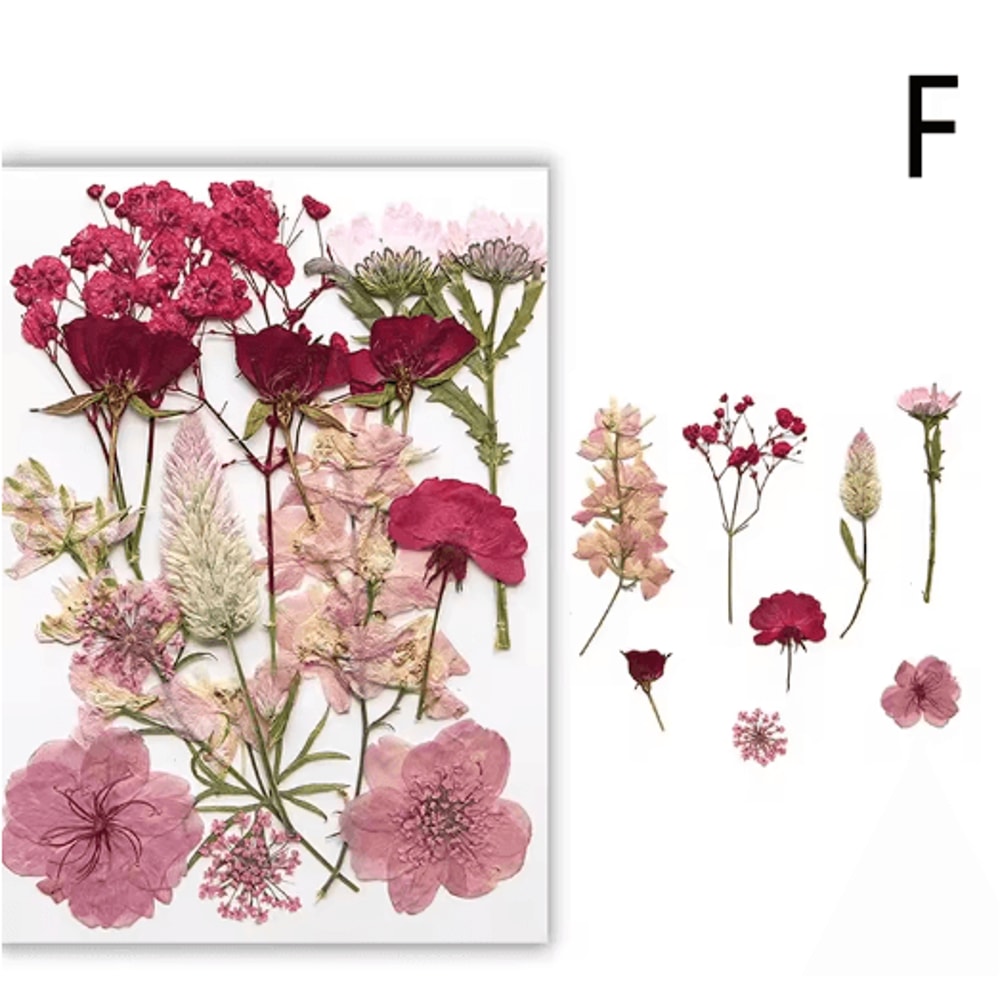 Natural Dried Flower Resin Fillings Real Pressed Flowers For Nail Art DIY Crafts 11