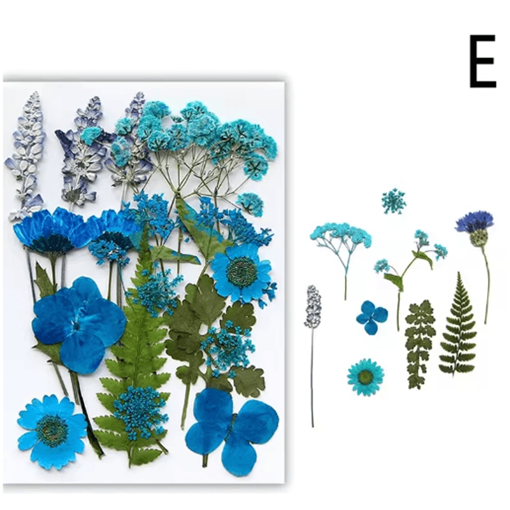 Natural Dried Flower Resin Fillings Real Pressed Flowers For Nail Art DIY Crafts 12