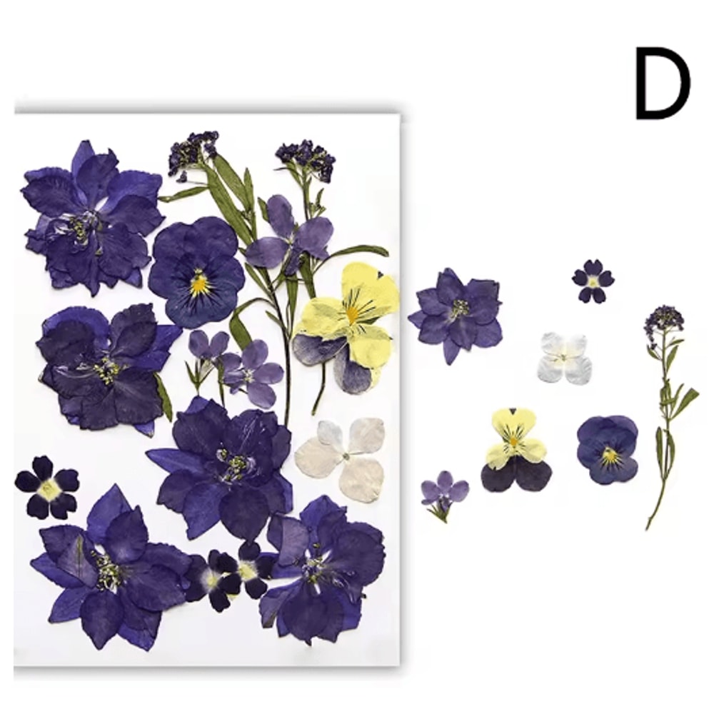 Natural Dried Flower Resin Fillings Real Pressed Flowers For Nail Art DIY Crafts 13