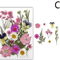 Natural Dried Flower Resin Fillings Real Pressed Flowers For Nail Art DIY Crafts 14