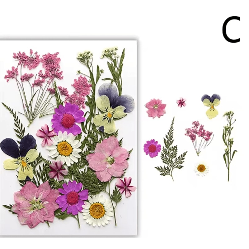 Natural Dried Flower Resin Fillings Real Pressed Flowers For Nail Art DIY Crafts 14