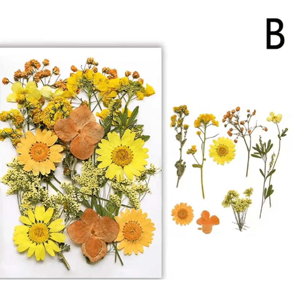 Natural Dried Flower Resin Fillings Real Pressed Flowers For Nail Art DIY Crafts 15