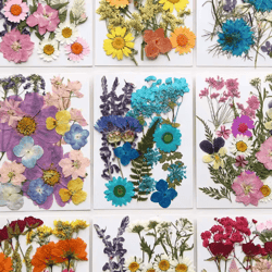 natural dried flower resin fillings – real pressed flowers for nail art & diy crafts