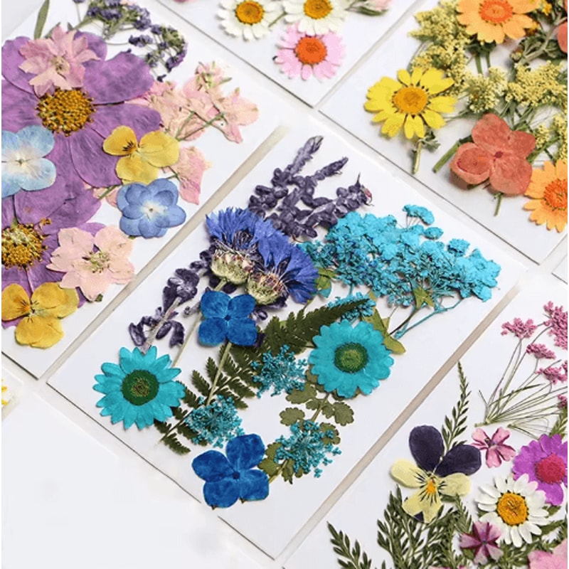 Natural Dried Flower Resin Fillings Real Pressed Flowers For Nail Art DIY Crafts 17