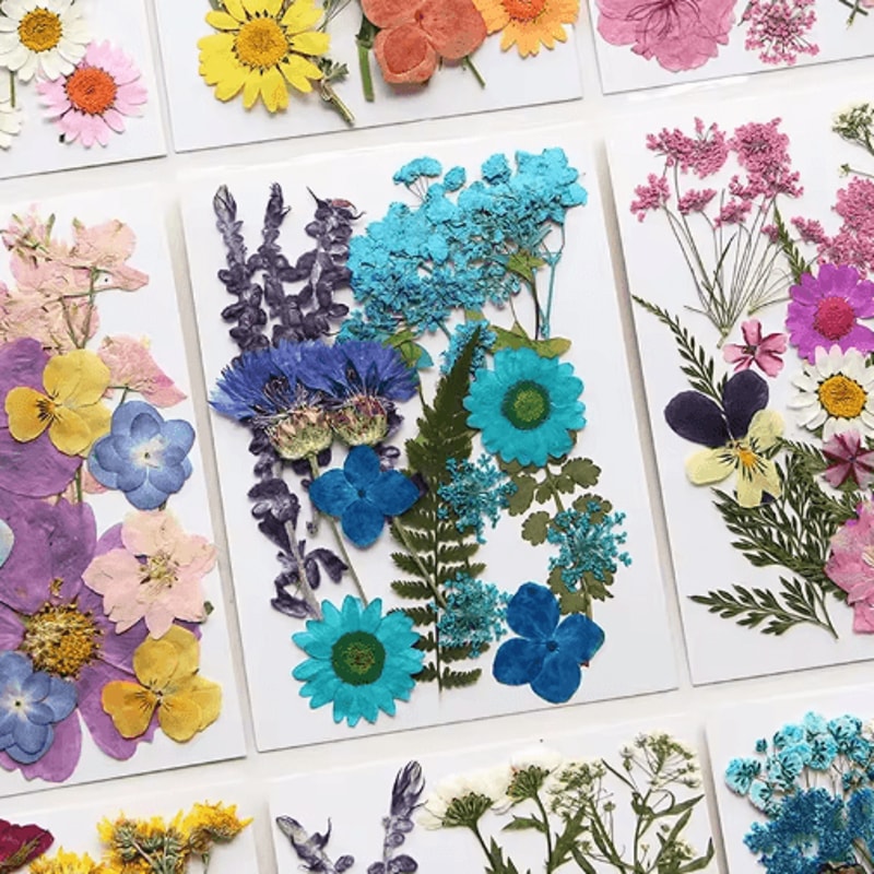 Natural Dried Flower Resin Fillings Real Pressed Flowers For Nail Art DIY Crafts 19