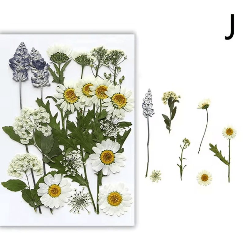 Natural Dried Flower Resin Fillings Real Pressed Flowers For Nail Art DIY Crafts 7