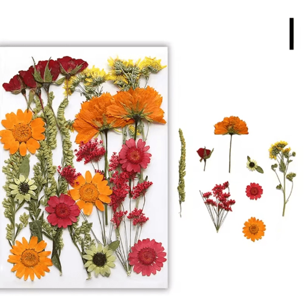 Natural Dried Flower Resin Fillings Real Pressed Flowers For Nail Art DIY Crafts 8