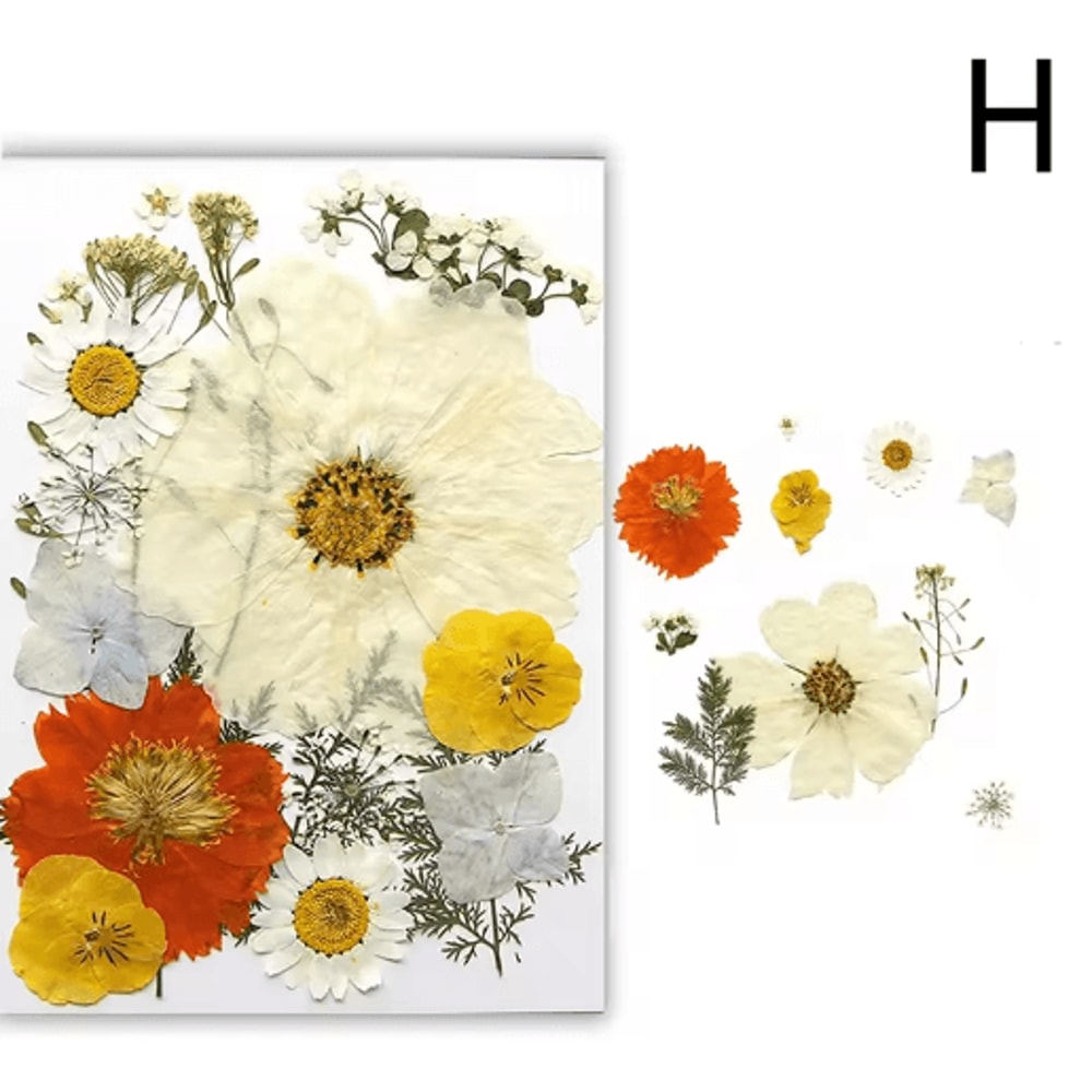 Natural Dried Flower Resin Fillings Real Pressed Flowers For Nail Art DIY Crafts 9