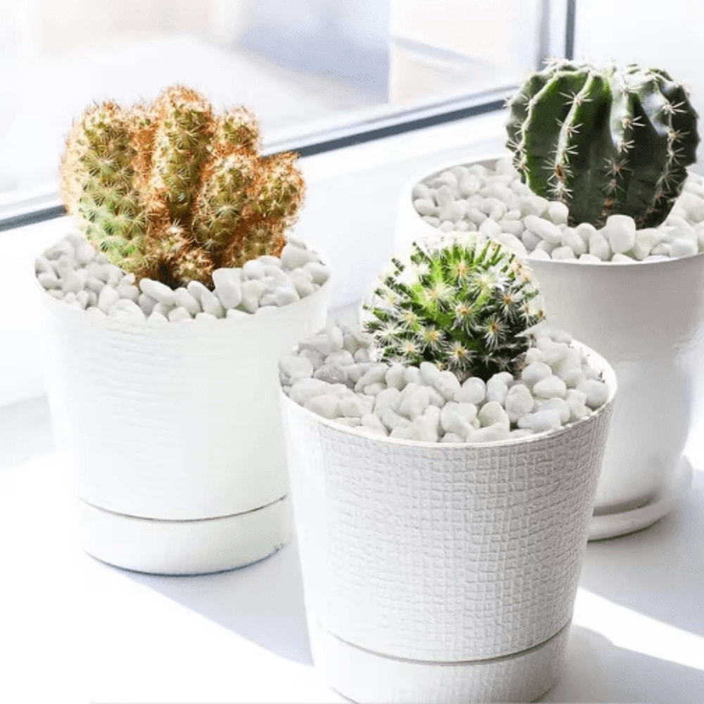 Natural Decorative Garden Pebbles Aquarium Gravel Succulent Bonsai Stones 100500g 4