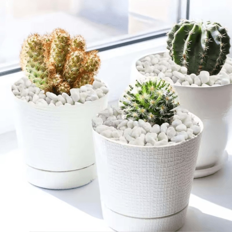 Natural Decorative Garden Pebbles Aquarium Gravel Succulent Bonsai Stones 100500g 4