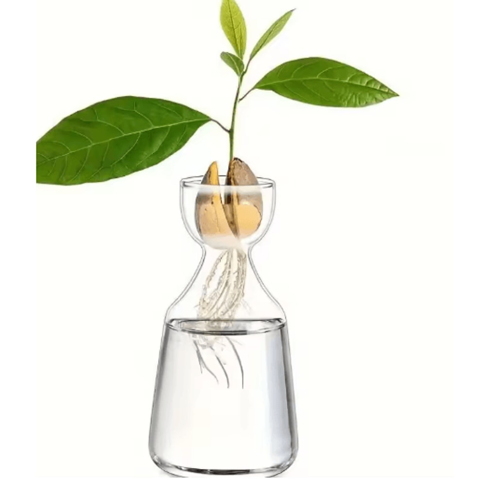 4Piece Avocado Seed Starter Vase Set Glass Propagation Kit For Home Gardening 1