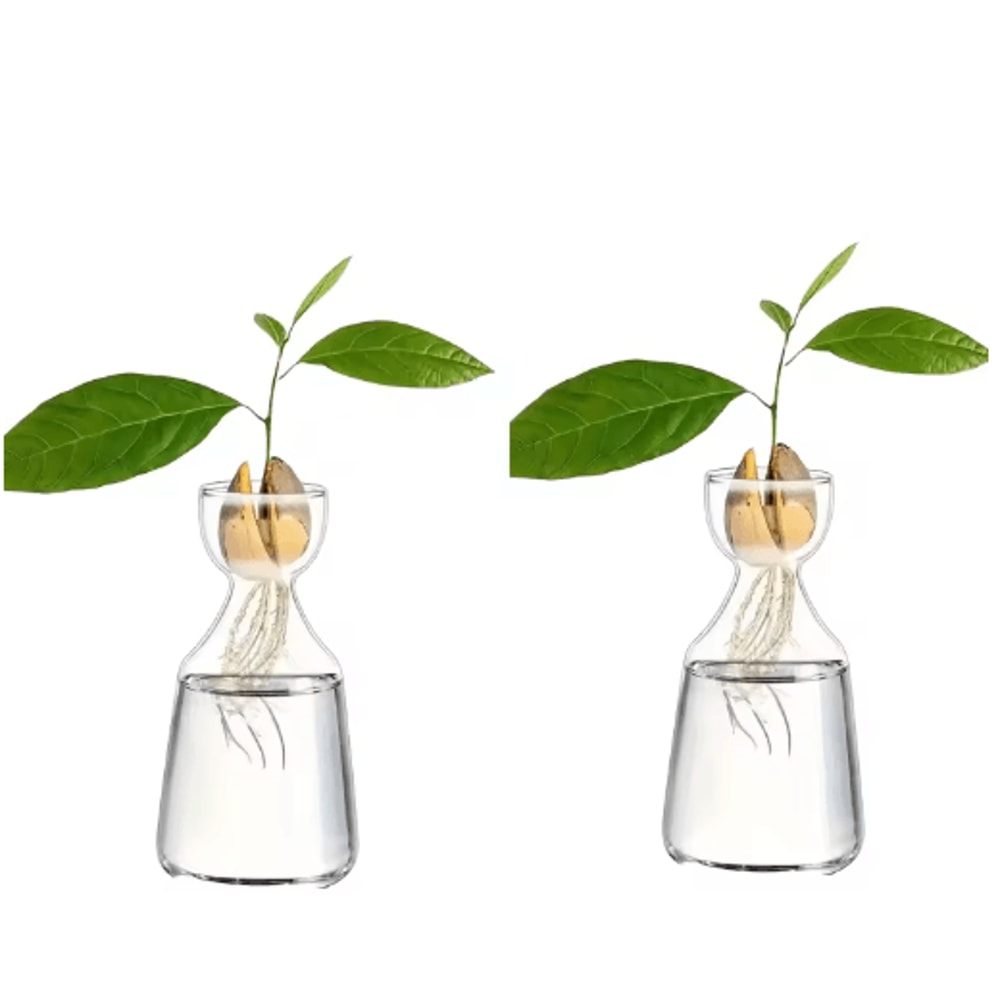 4Piece Avocado Seed Starter Vase Set Glass Propagation Kit For Home Gardening 5