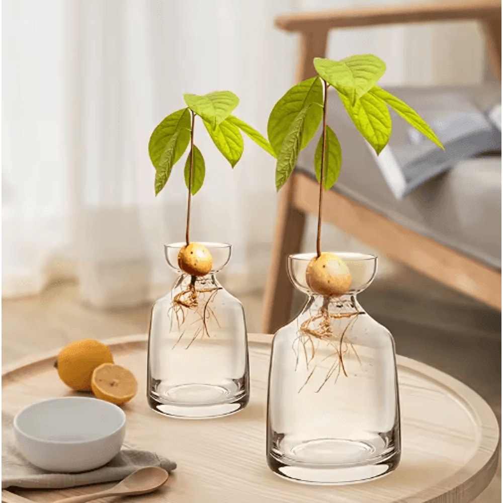 4Piece Avocado Seed Starter Vase Set Glass Propagation Kit For Home Gardening 6