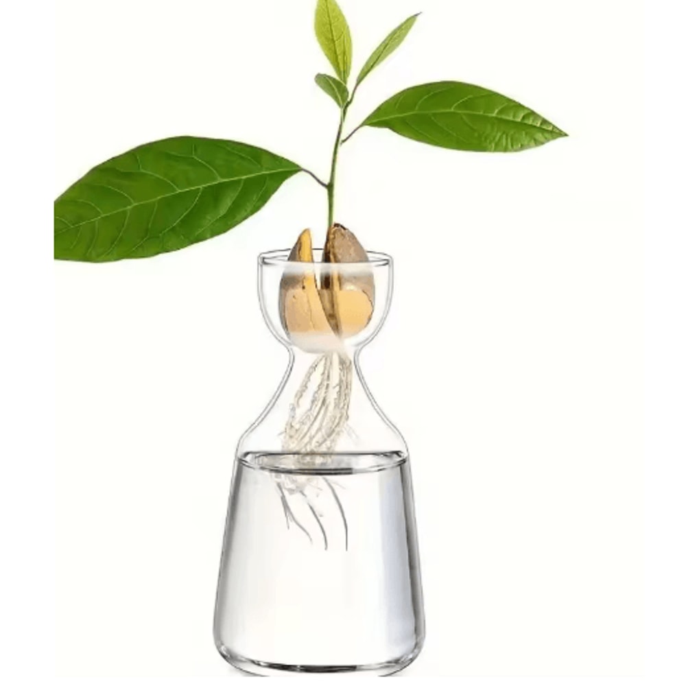 4Piece Avocado Seed Starter Vase Set Glass Propagation Kit For Home Gardening 8