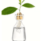 4Piece Avocado Seed Starter Vase Set Glass Propagation Kit For Home Gardening 8