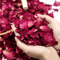 500g Natural Dried Rose Petals Aromatherapy Bath Wedding Decor Flowers 6