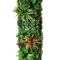 Artificial Grass Moss Wall Panel Subtropical Green Wall Decor For Home 9