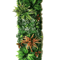 Artificial Grass Moss Wall Panel Subtropical Green Wall Decor For Home 9