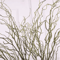 120cm Artificial Willow Branch Realistic Luxury Tree Decor For Home Living Room 10