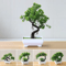 Artificial Potted Flower Bonsai Mini Tabletop Plant Decor For Home Garden 24