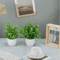4 Pack Mini Artificial Potted Plants Fake Bonsai Greenery For Home Office Decor 5