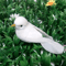 Artificial Dove Pigeon Model Realistic Bird Decor For Wedding Photography 2
