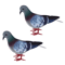Artificial Dove Pigeon Model Realistic Bird Decor For Wedding Photography 3