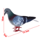 Artificial Dove Pigeon Model Realistic Bird Decor For Wedding Photography 7