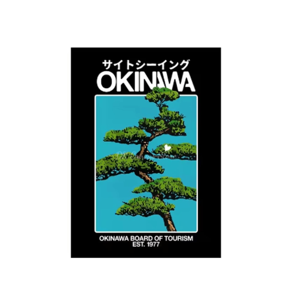 Japanese Okinawa Travel Canvas Print Japandi Vintage Wall Art Decor 1