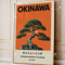 Japanese Okinawa Travel Canvas Print Japandi Vintage Wall Art Decor 4