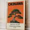 Japanese Okinawa Travel Canvas Print Japandi Vintage Wall Art Decor 4