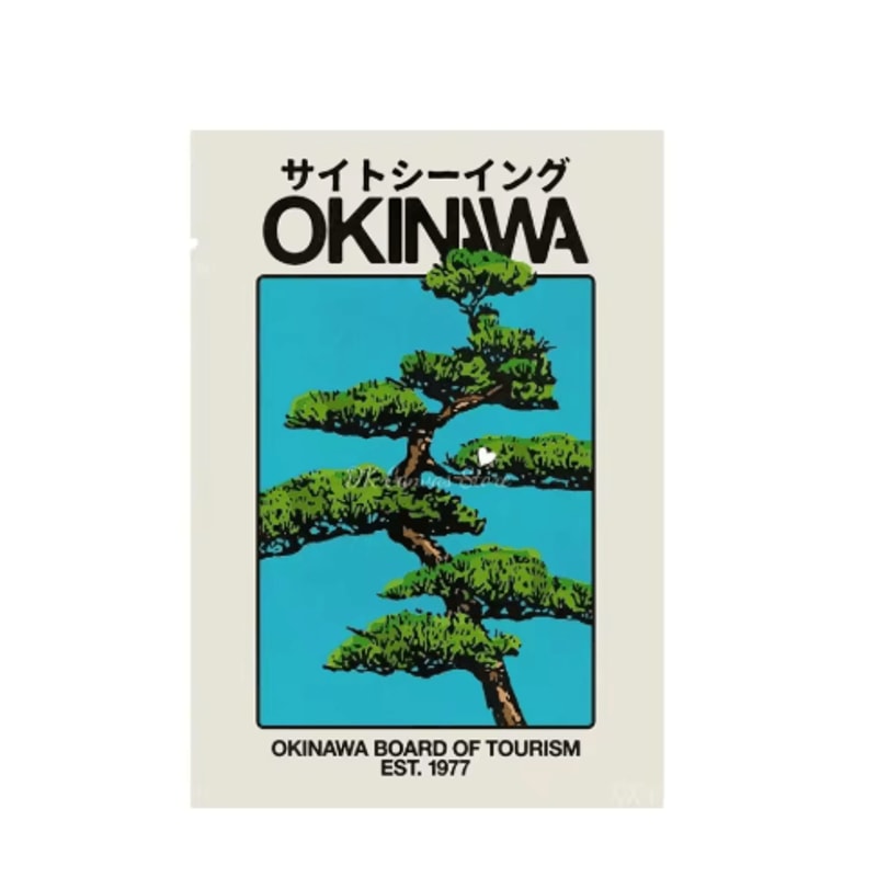 Japanese Okinawa Travel Canvas Print Japandi Vintage Wall Art Decor 16