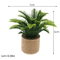 Dollhouse Miniature Plants Realistic Potted Garden Decor For Tiny Homes 1