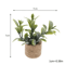 Dollhouse Miniature Plants Realistic Potted Garden Decor For Tiny Homes 2