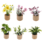 Dollhouse Miniature Plants Realistic Potted Garden Decor For Tiny Homes 7