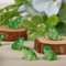 Mini Frog Figurines Set Cute Resin Fairy Garden Decor For Creative Displays 4