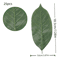 Artificial Magnolia Leaves Set Realistic PU Leaves For Floral Arrangements DIY Decor 4