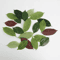 Artificial Magnolia Leaves Set Realistic PU Leaves For Floral Arrangements DIY Decor 5