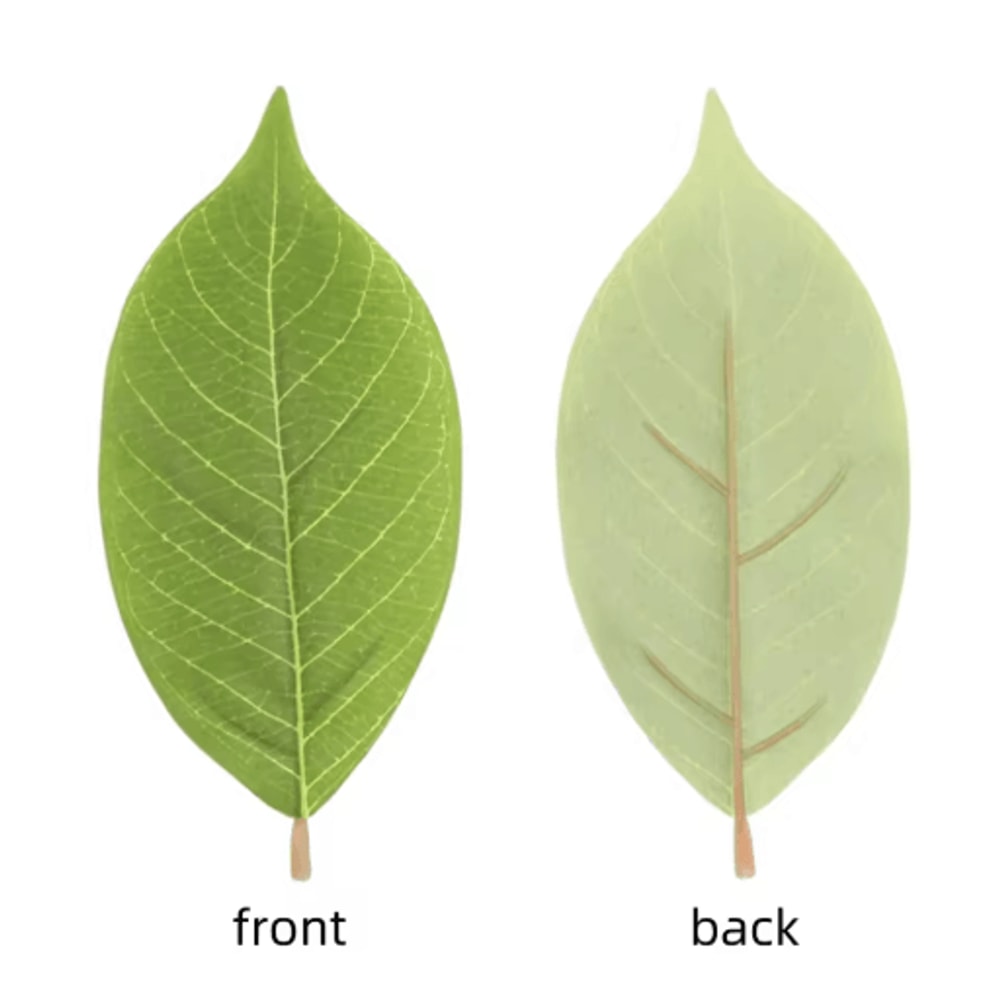 Artificial Magnolia Leaves Set Realistic PU Leaves For Floral Arrangements DIY Decor 8
