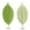 Artificial Magnolia Leaves Set Realistic PU Leaves For Floral Arrangements DIY Decor 8