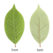 Artificial Magnolia Leaves Set Realistic PU Leaves For Floral Arrangements DIY Decor 8