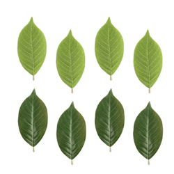 artificial magnolia leaves set – realistic pu leaves for floral arrangements & diy decor