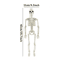 LifeSize Halloween Skeleton Decoration Spooky Haunted House Prop For Parties 1