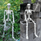 LifeSize Halloween Skeleton Decoration Spooky Haunted House Prop For Parties 2