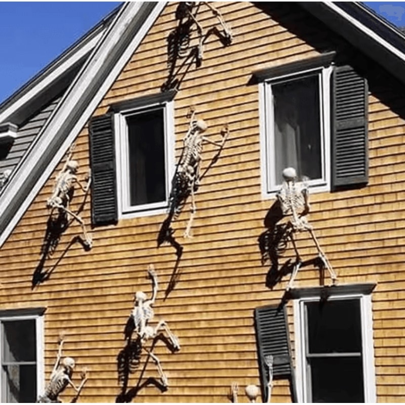 LifeSize Halloween Skeleton Decoration Spooky Haunted House Prop For Parties 5