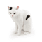Sleeping Orange Cat Figurine Cute Mini Cat Decor For Cozy Spaces 4