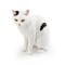 Sleeping Orange Cat Figurine Cute Mini Cat Decor For Cozy Spaces 4